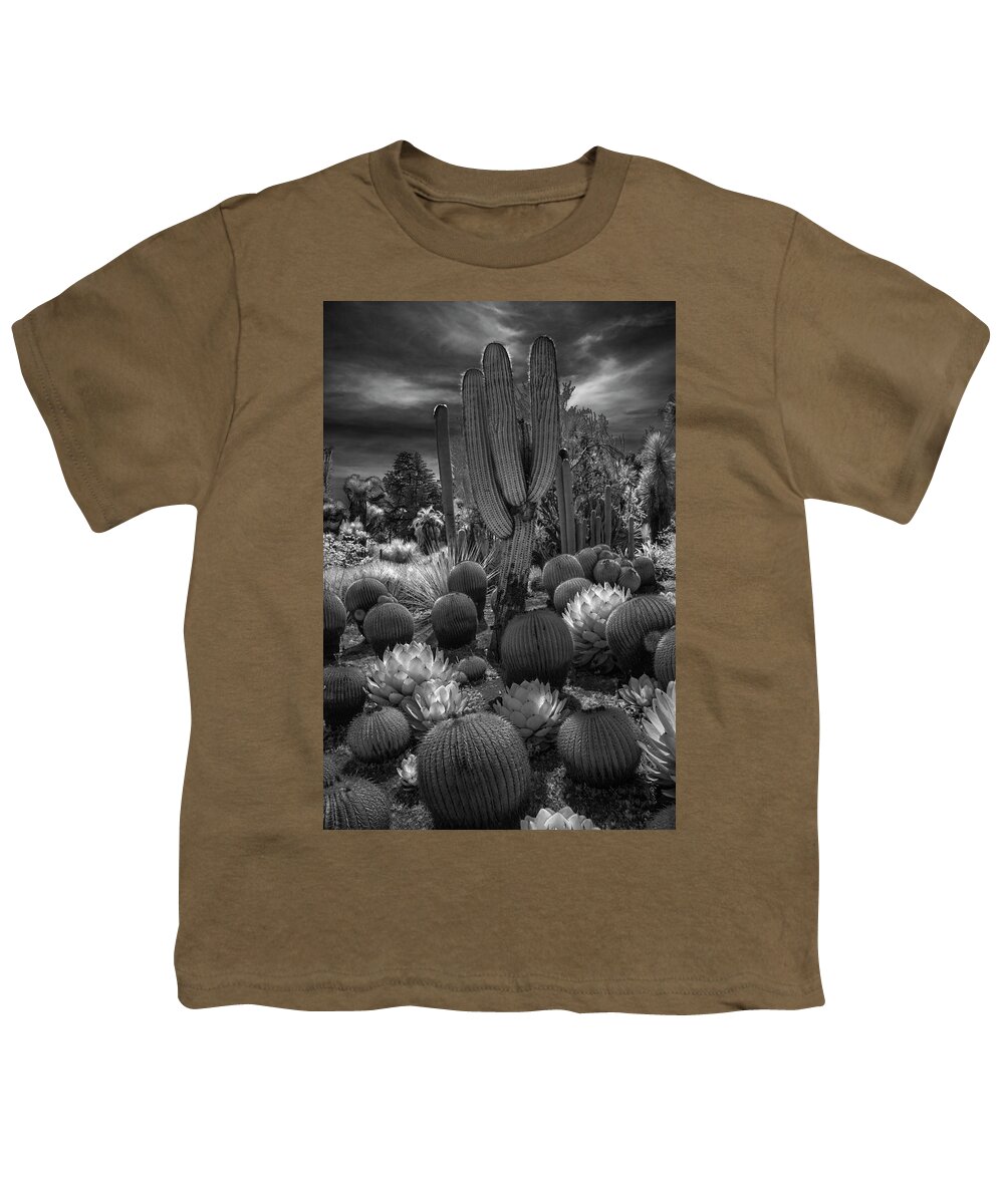 Art Youth T-Shirt featuring the photograph Desert Garden with Cacti at the Huntington Botanical Garden in California by Randall Nyhof