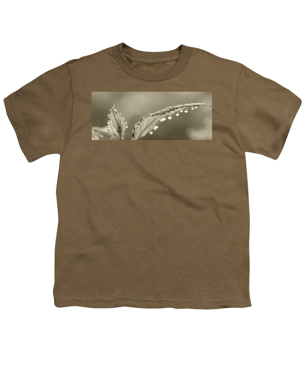 Dew Youth T-Shirt featuring the photograph Dew Drops by Lori Deiter