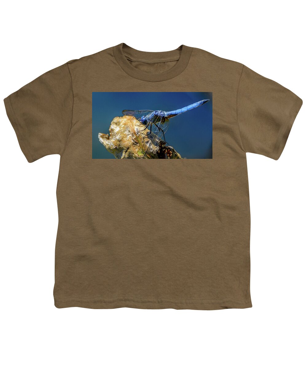 Dragon Fly Youth T-Shirt featuring the photograph Dragon Fly by Jerry Cahill