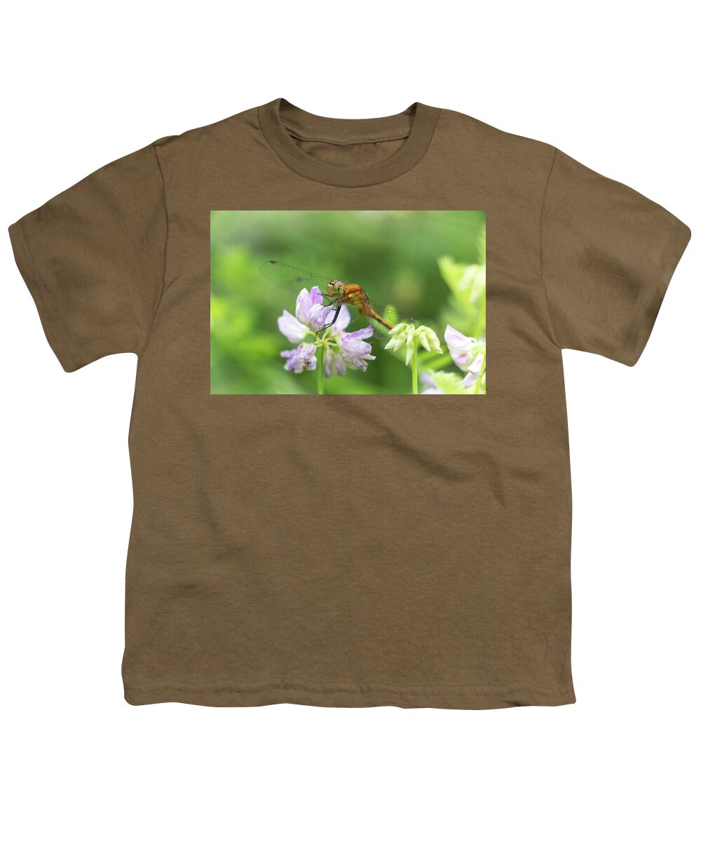 Dragonfly Dragon Fly Flies Dragonflies Flower Flowers Botany Botanical Botanic Nature Outside Outdoors Closeup Close Up Close-up Macro Garden Gardening Brian Hale Brianhalephoto Ma Mass Massachusetts Youth T-Shirt featuring the photograph Dragonfly on Flowers by Brian Hale