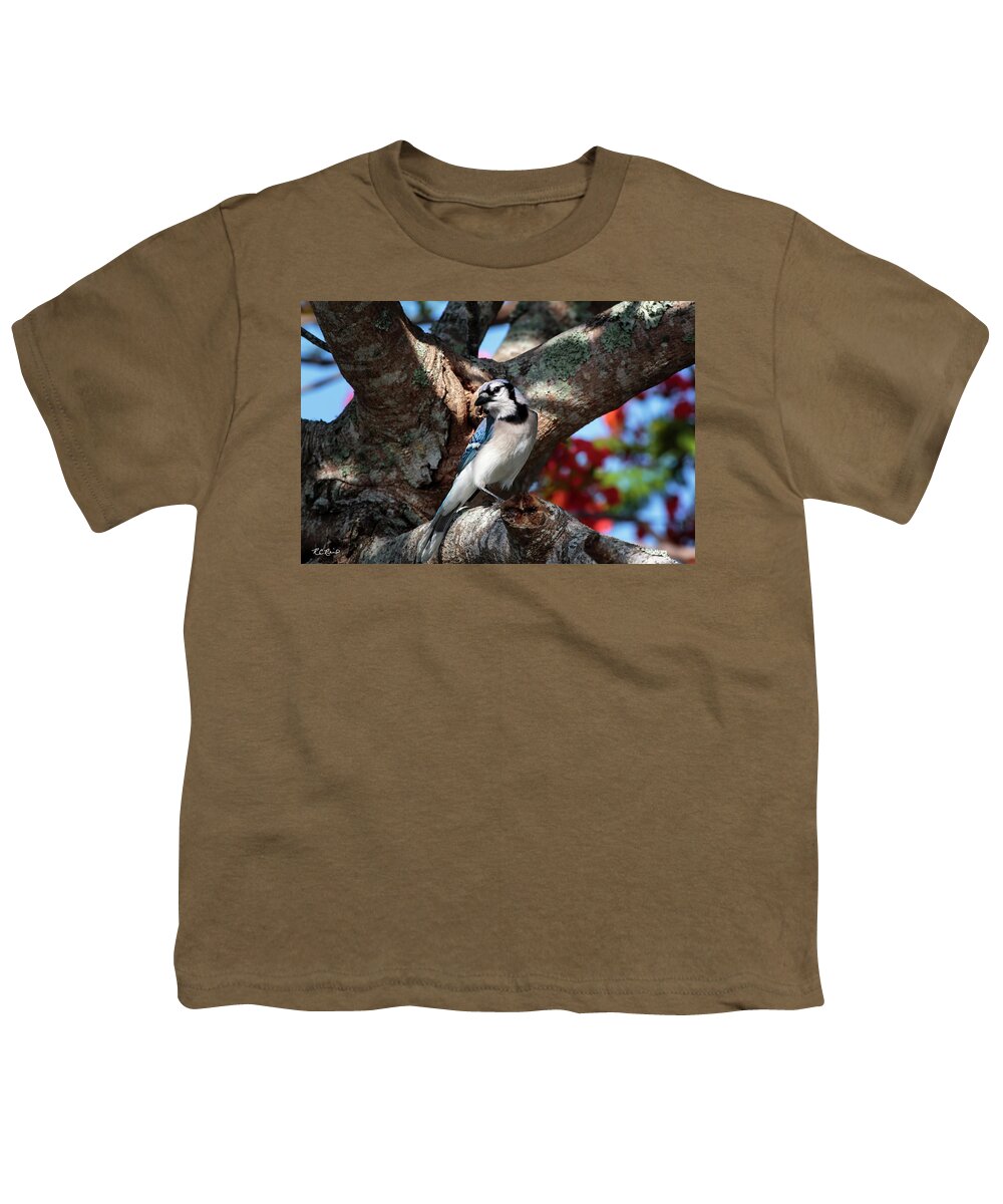 Florida Youth T-Shirt featuring the photograph Eagle Lakes Park - Northern Blue Jay at Rest by Ronald Reid