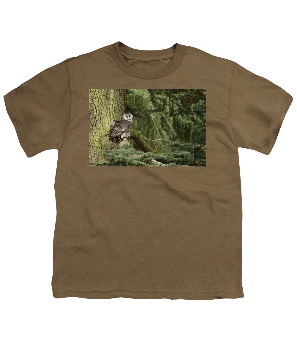 Owl Youth T-Shirt featuring the photograph Eagle Owl In Forest by Adrian Wale