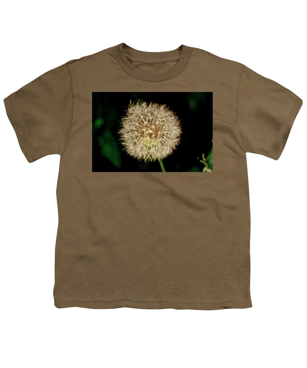 Dandelion Youth T-Shirt featuring the photograph Early in the morning. by Elena Perelman