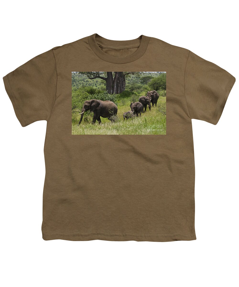 Tanzania_d313 Youth T-Shirt featuring the photograph Elephant Family Tarangire NP by Craig Lovell