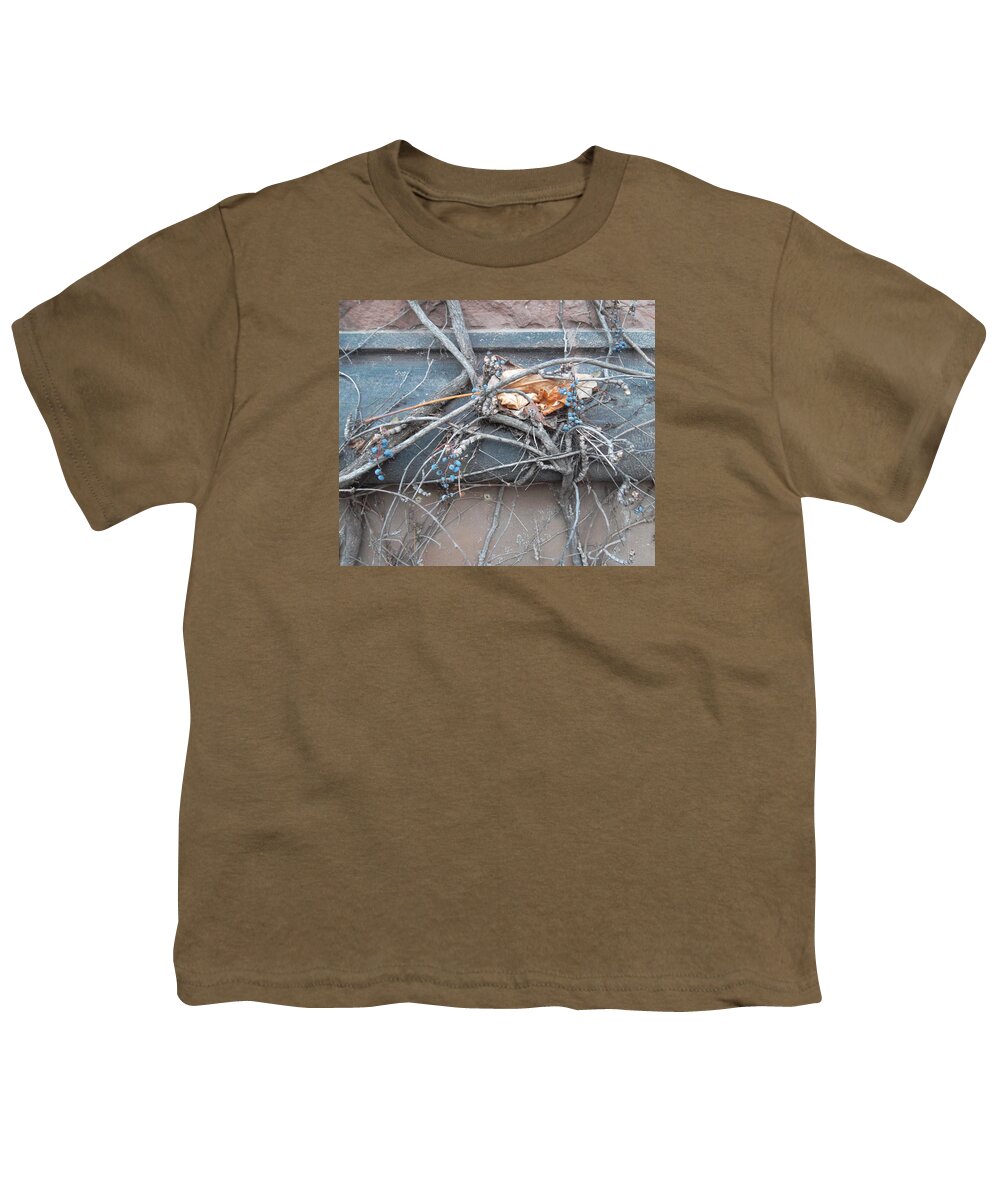 Grape Vine Youth T-Shirt featuring the photograph Entwined by Susan Esbensen