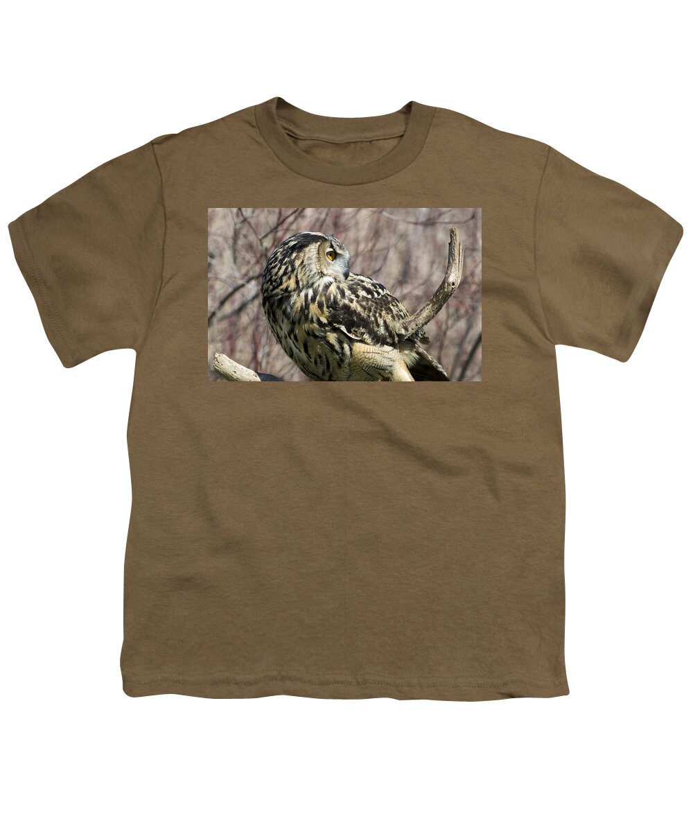 Eurasian Eagle-owl Youth T-Shirt featuring the photograph Eurasian Eagle-Owl looking Backward by Tracy Winter