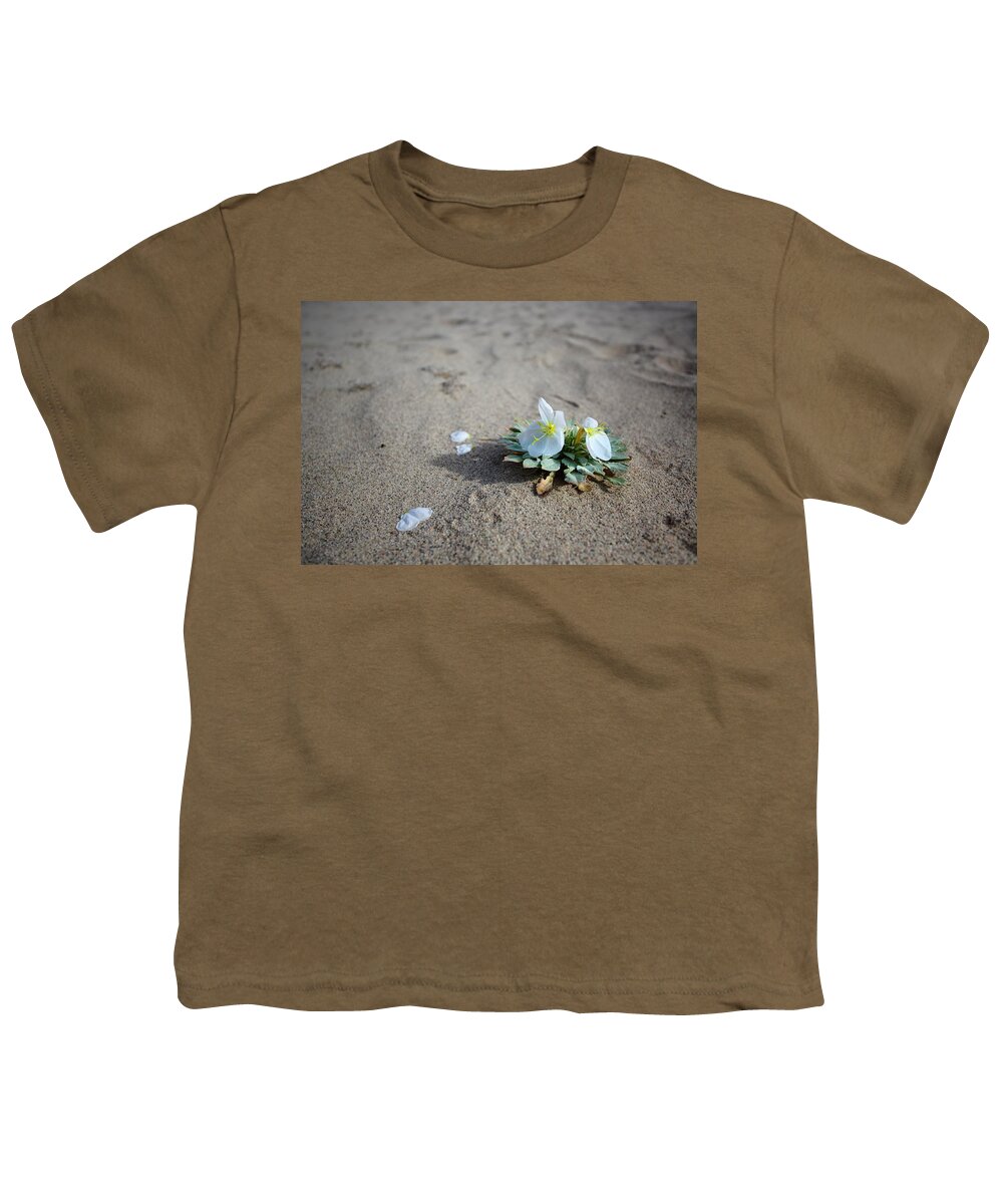 Bossom Youth T-Shirt featuring the photograph Eureka Valley Evening Primrose by David Andersen