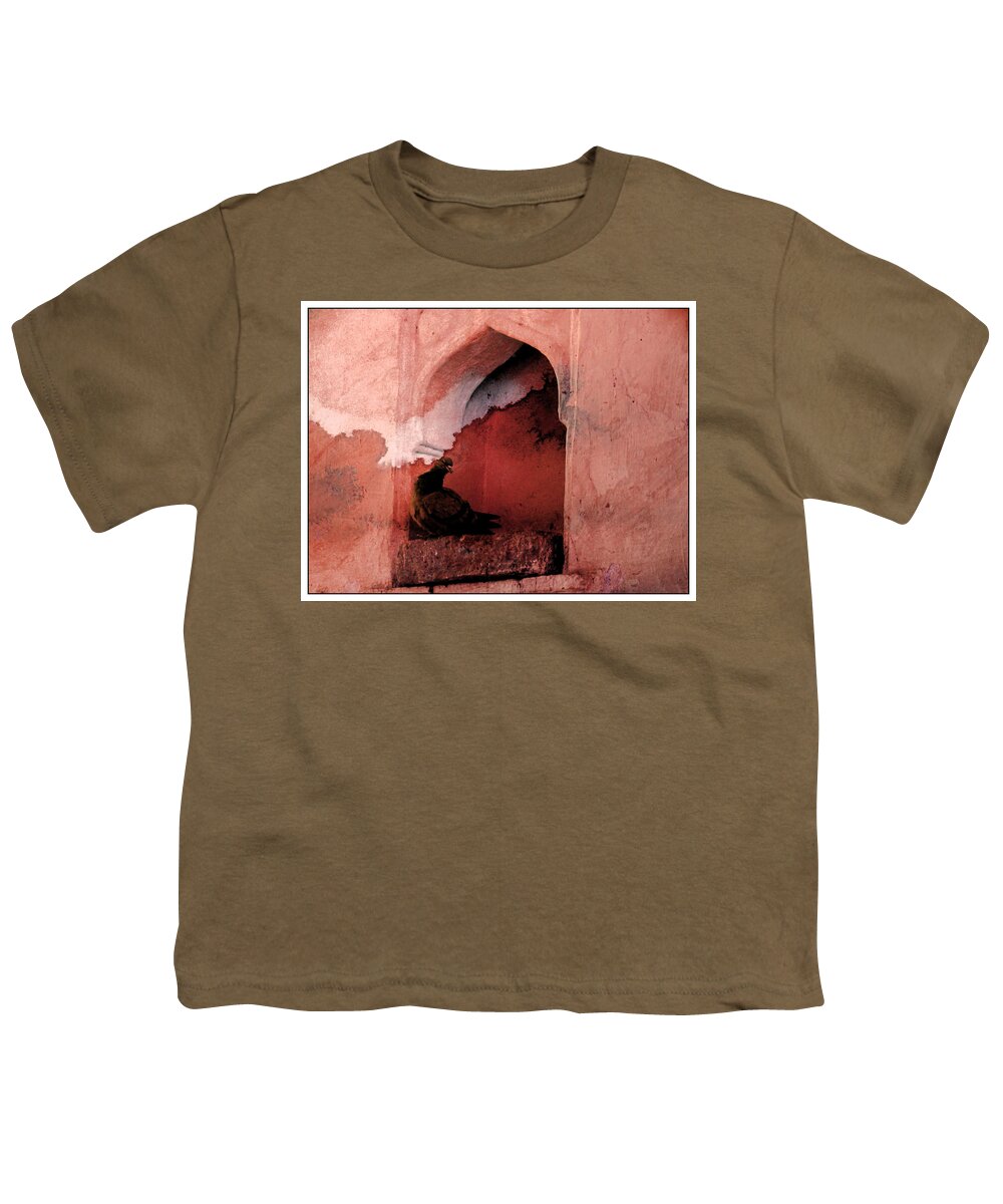 Pigeon Youth T-Shirt featuring the photograph Exotic Travel Pigeons in Palaces India Rajasthan 1f by Sue Jacobi