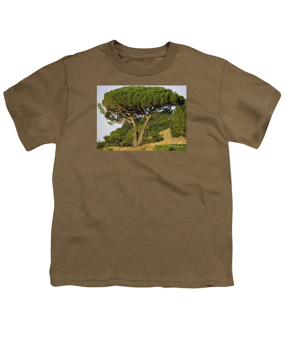 Tree Youth T-Shirt featuring the photograph Fairfax Beauty by Joyce Creswell