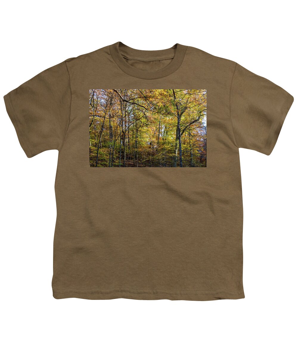Trees Youth T-Shirt featuring the photograph Fall Colors of Rock Creek Park by Ed Clark