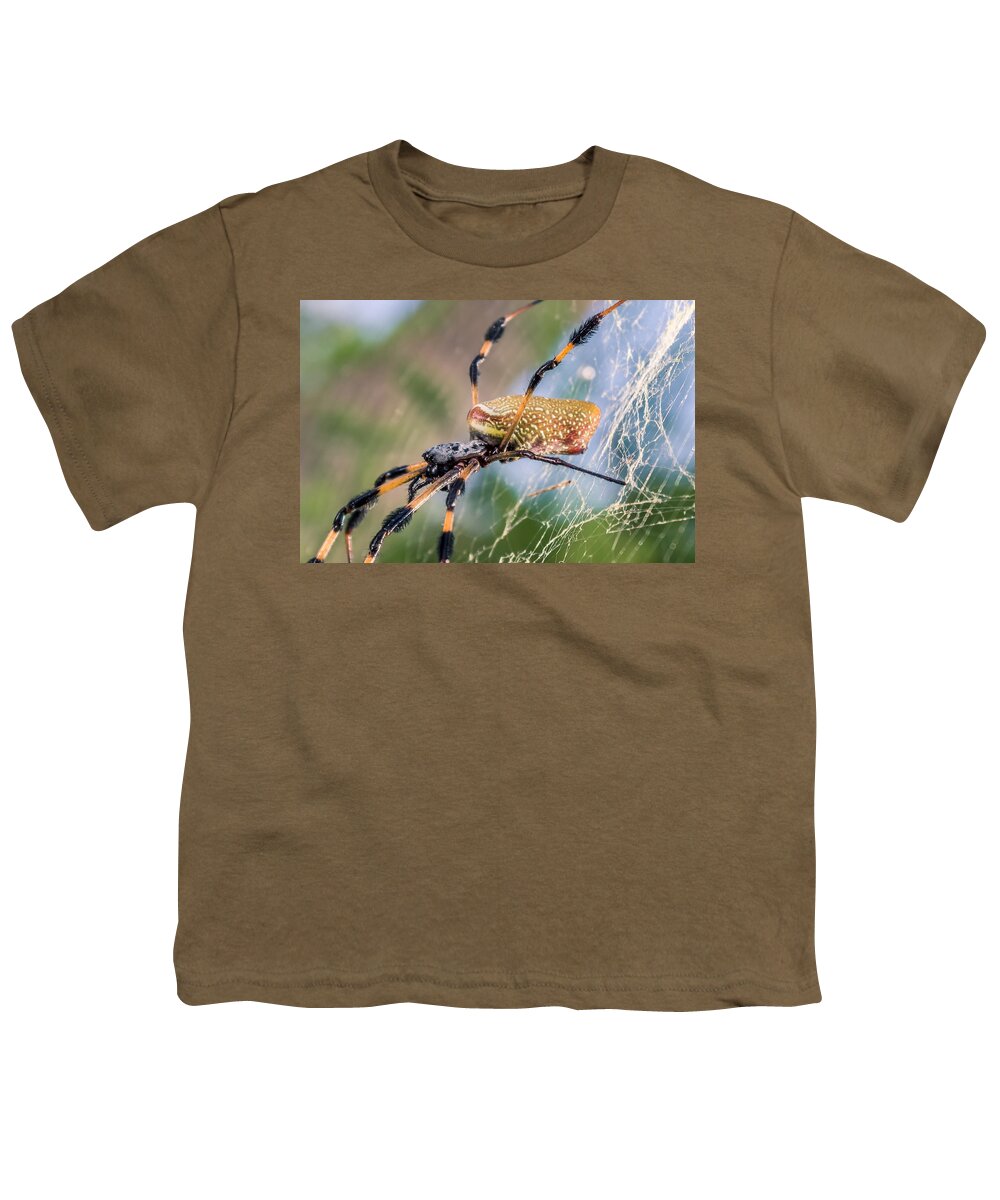 America Youth T-Shirt featuring the photograph Female Nephila clavipes by Traveler's Pics