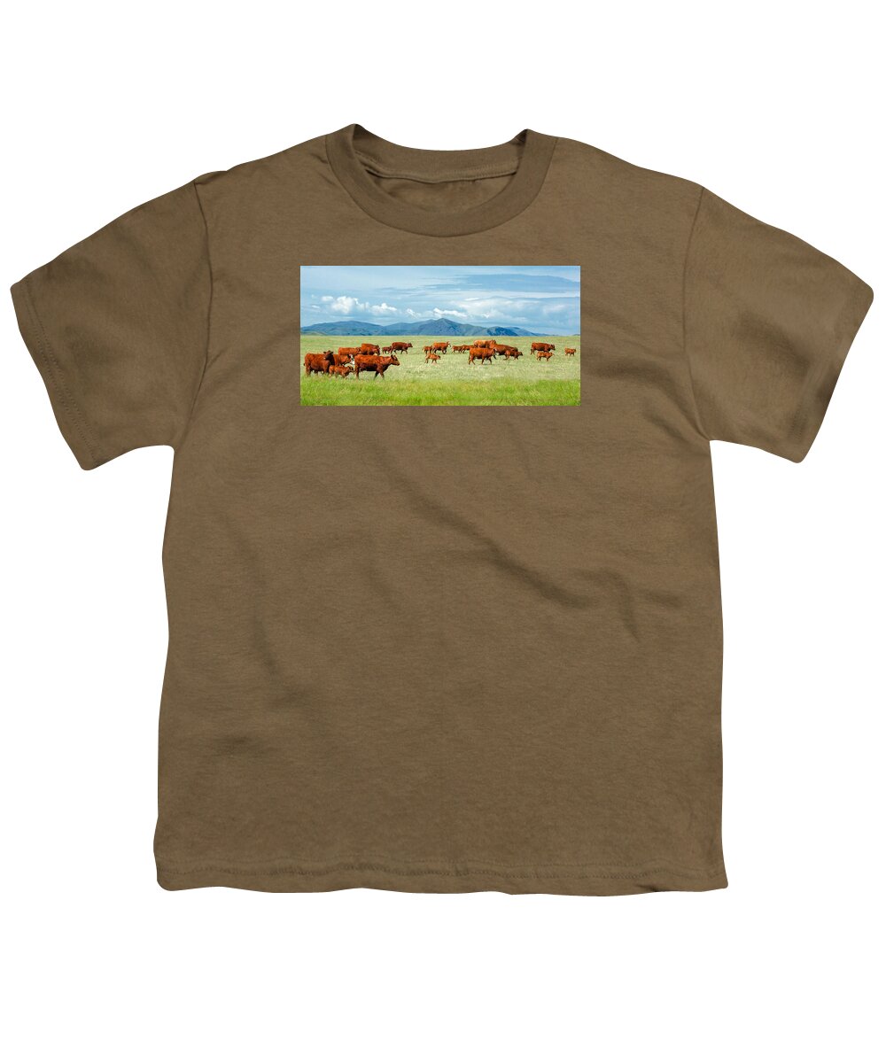 Herd Youth T-Shirt featuring the photograph Field of Reds by Todd Klassy