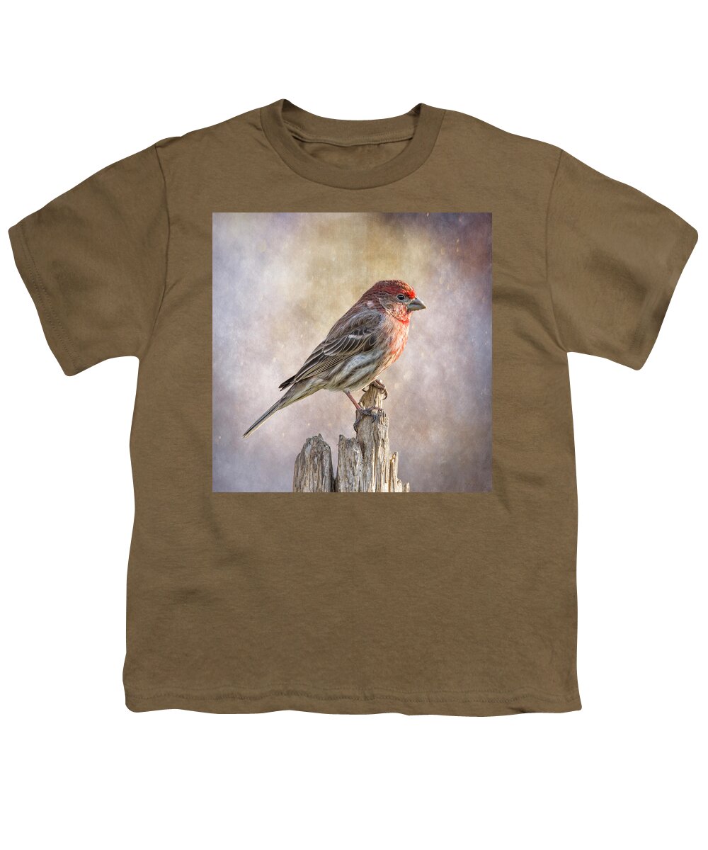 Chordata Youth T-Shirt featuring the photograph Finch Posted On Top by Bill and Linda Tiepelman