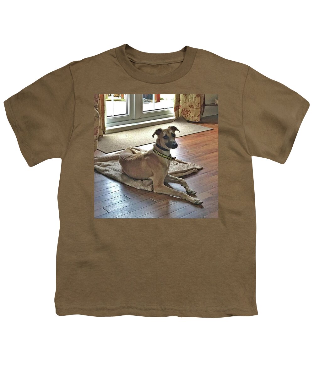 Lurcher Youth T-Shirt featuring the photograph Finly - Ava The Saluki's New Companion by John Edwards
