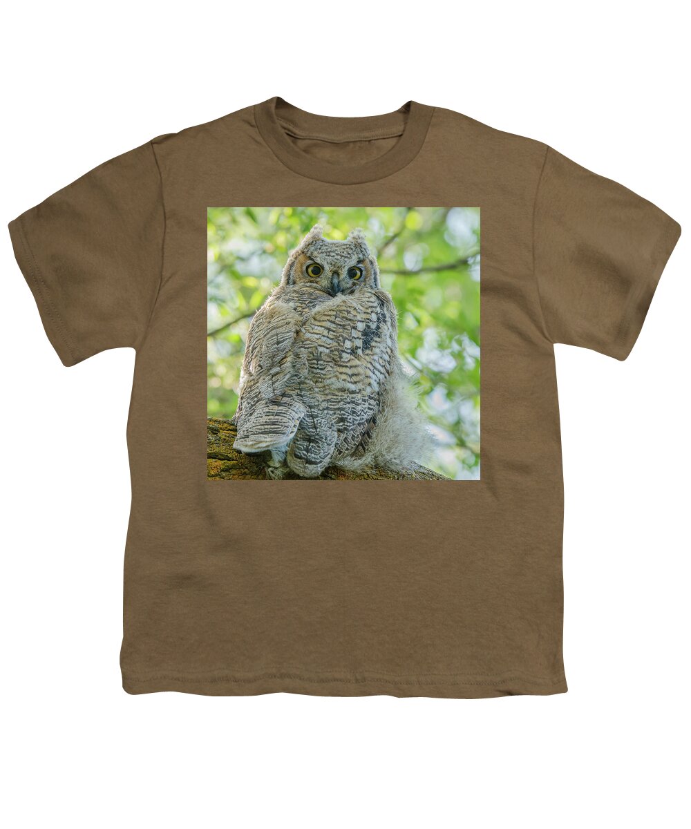 Owl Youth T-Shirt featuring the photograph Fledgling In The Trees by Yeates Photography