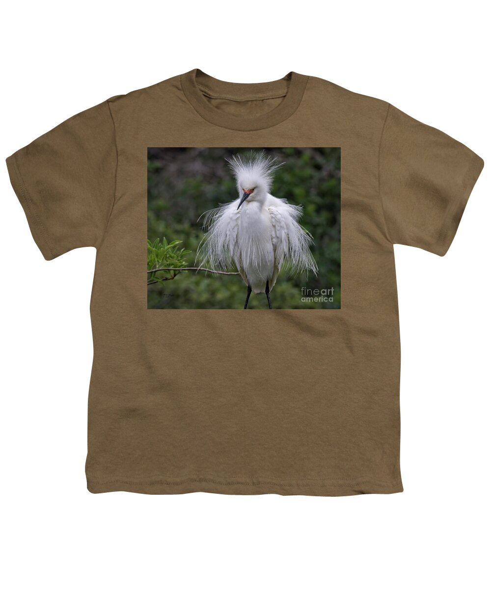 Snowy Youth T-Shirt featuring the photograph Fluffy Snowy Egret by DB Hayes