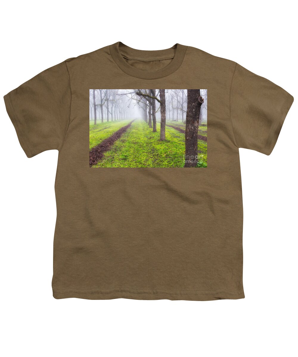 Fog Youth T-Shirt featuring the photograph Fog and Orchard by Anthony Michael Bonafede