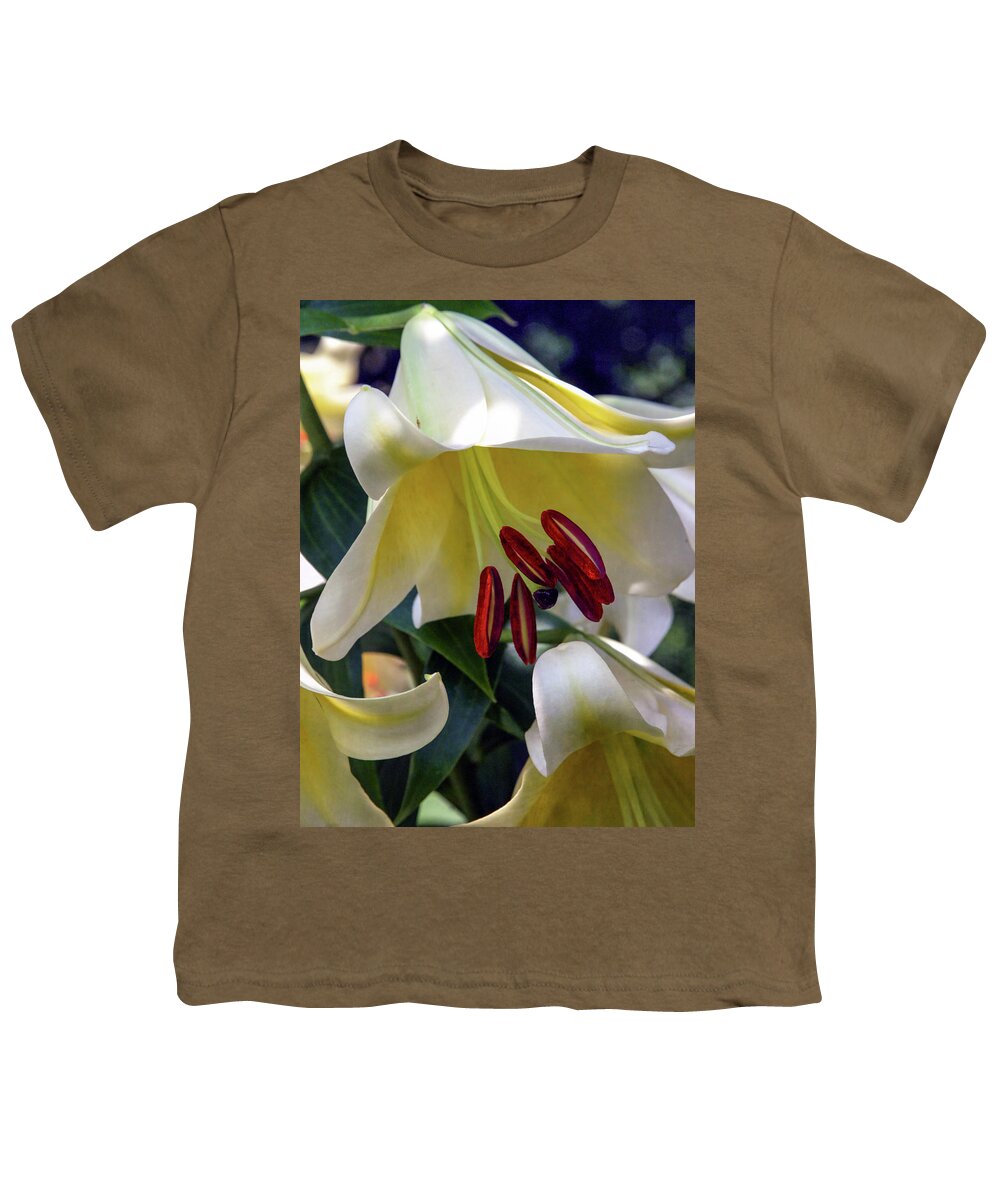 Asiatic Lilies Youth T-Shirt featuring the photograph Form 3426 HDP_2 by Steven Ward