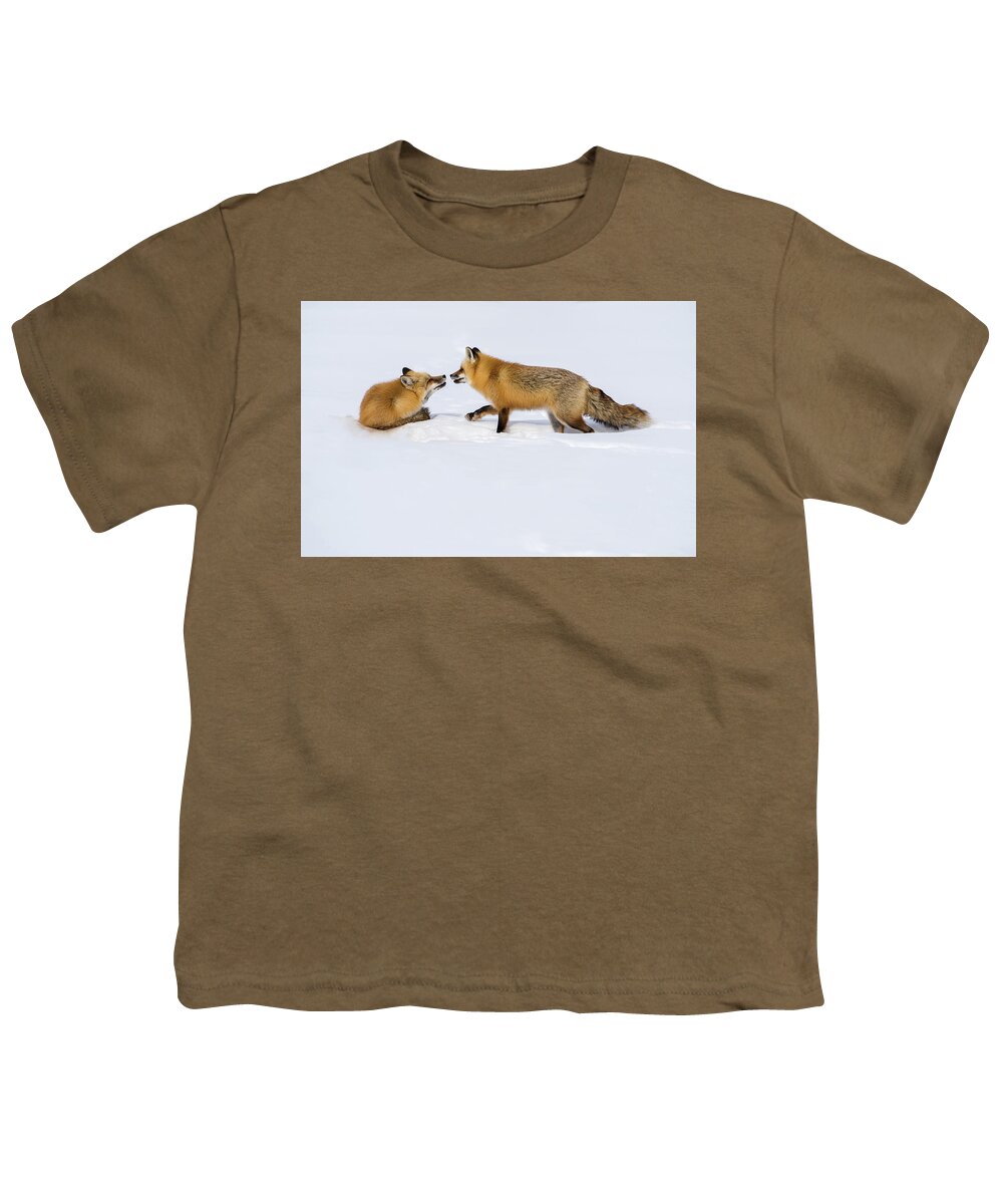 Grand Teton National Park Youth T-Shirt featuring the photograph Fox Love by Brenda Jacobs