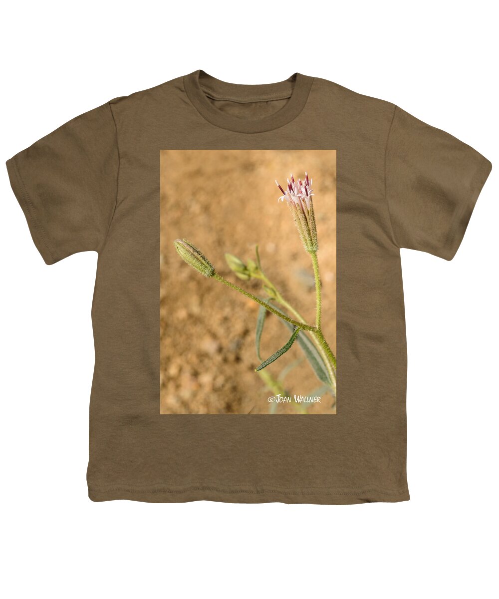 California Youth T-Shirt featuring the photograph Fuzzy flower by Joan Wallner