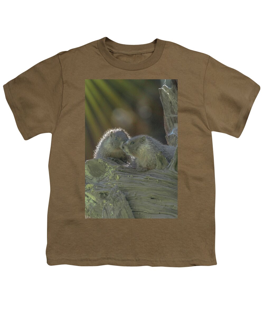 Golden Bellied Marmot Youth T-Shirt featuring the photograph Golden Bellied Marmot by Patricia Dennis