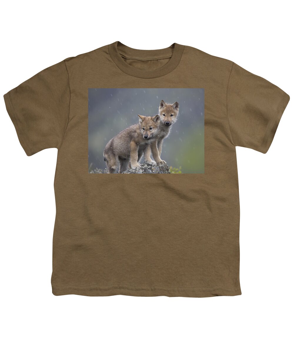 Mp Youth T-Shirt featuring the photograph Gray Wolf Canis Lupus Pups In Light by Tim Fitzharris