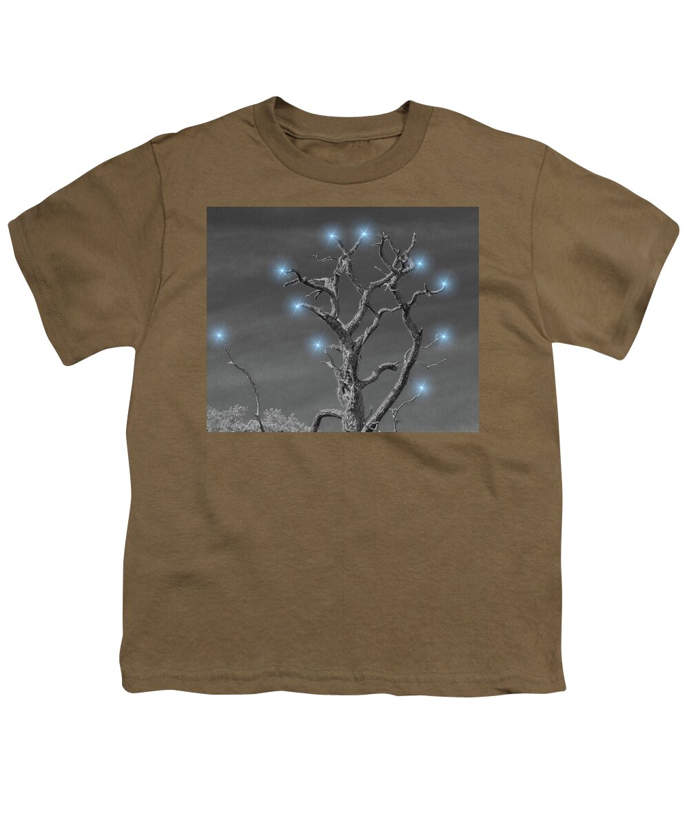 Tree Trunk Youth T-Shirt featuring the photograph Happy Holidays by Richard Goldman