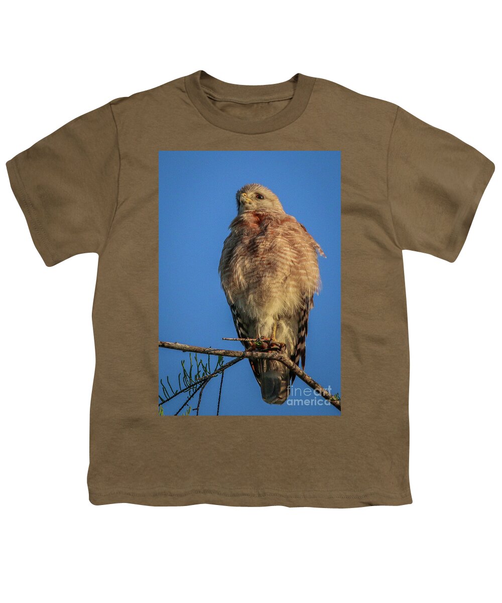 Hawk Youth T-Shirt featuring the photograph Hawk at Cypress Creek #2 by Tom Claud