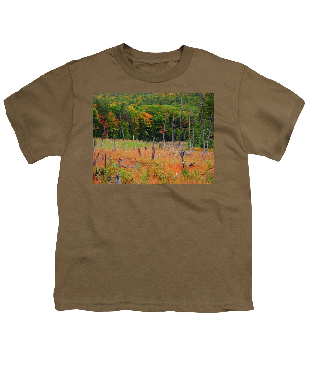 Hemlock Pond Youth T-Shirt featuring the photograph Hemlock Pond by Raymond Salani III