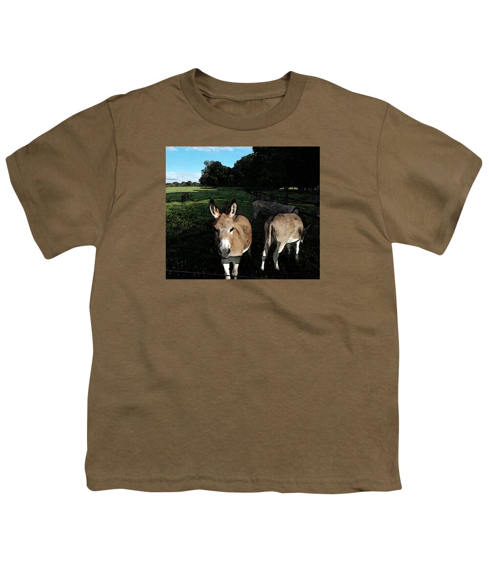 Donkeys Youth T-Shirt featuring the photograph Hey There by Susan Esbensen