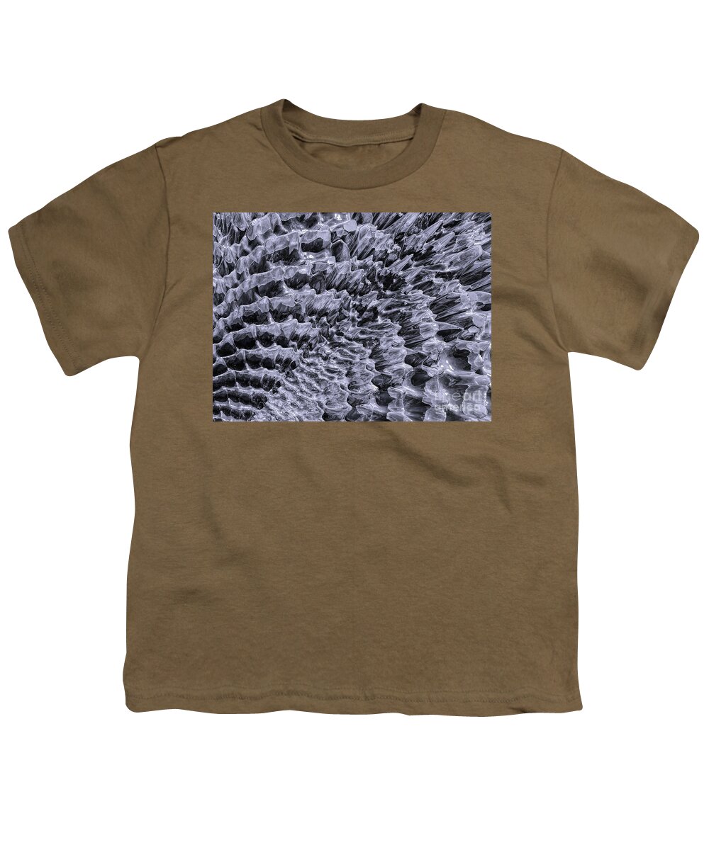 Three Dimensional Youth T-Shirt featuring the digital art Ice Fields of Antarctica by Phil Perkins