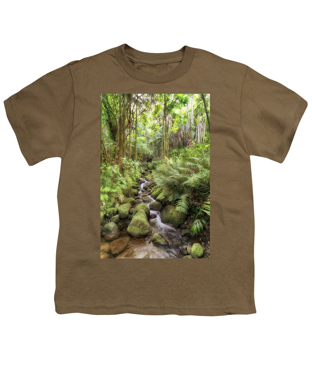 Alakahi Stream Youth T-Shirt featuring the photograph Idyllic Stream by Susan Rissi Tregoning