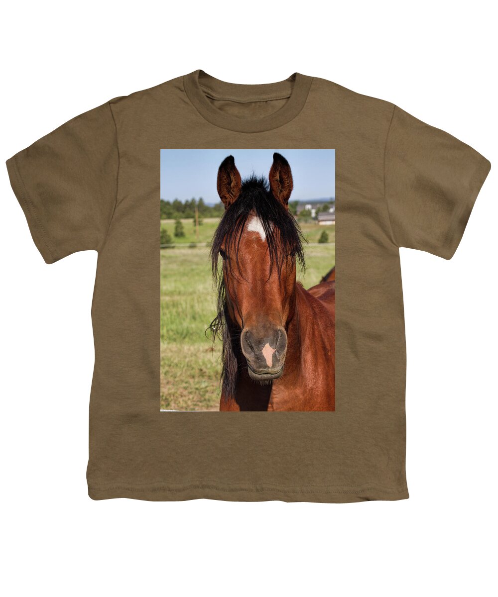 Equine Youth T-Shirt featuring the photograph I'm Here by Alana Thrower