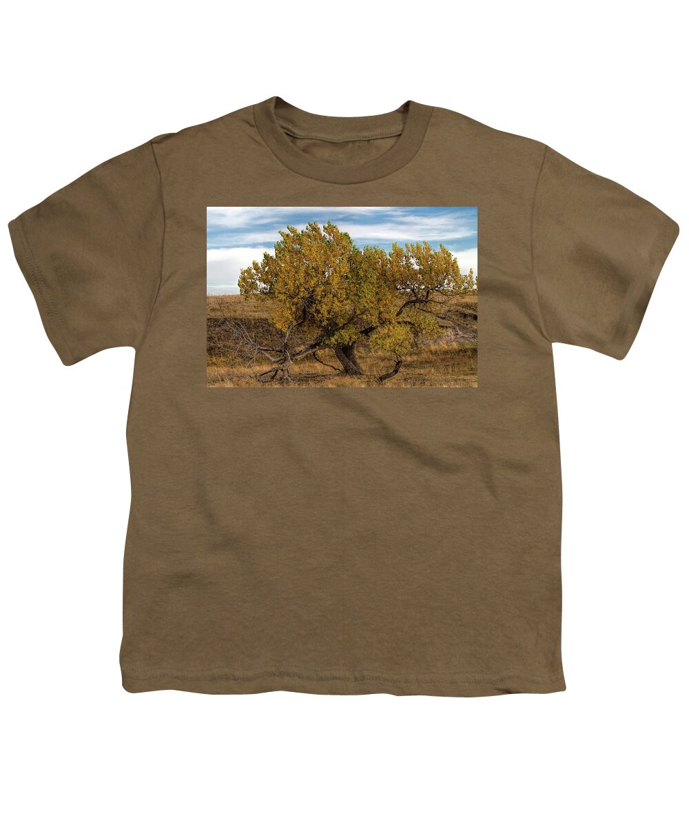 Tree Youth T-Shirt featuring the photograph In Autumn's Glory by Alana Thrower