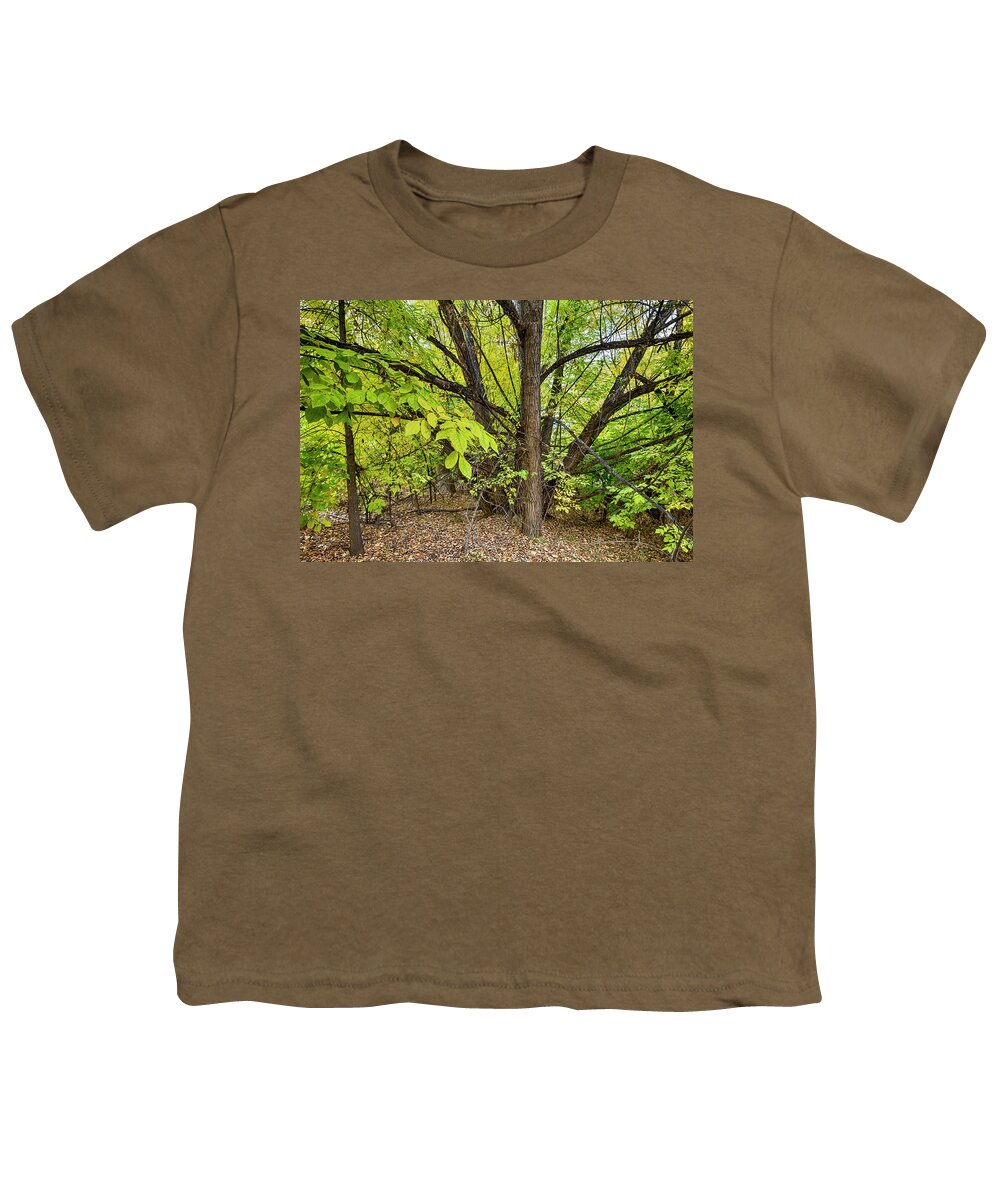 Mountains Youth T-Shirt featuring the photograph Into The Woods by James BO Insogna