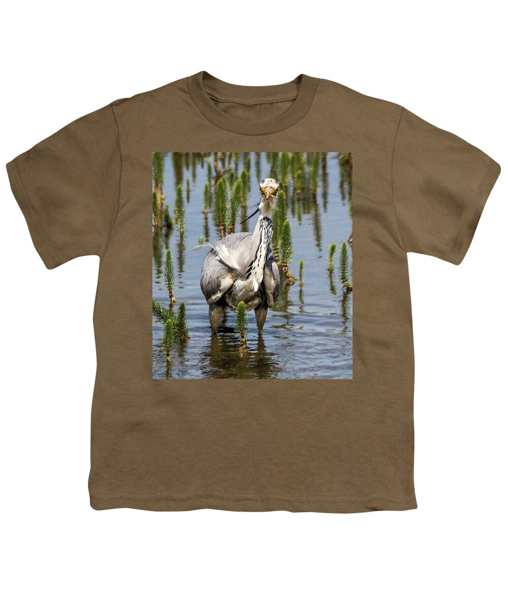 Grey Heron Youth T-Shirt featuring the photograph Its not big enough to share by Jeff Townsend