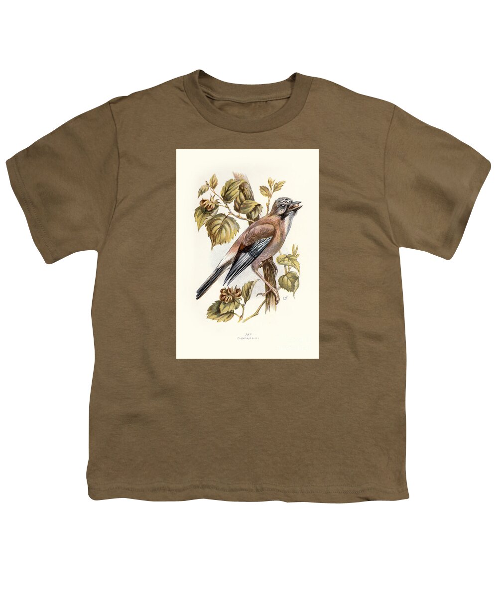 Birds Youth T-Shirt featuring the digital art Jay Restored by Pablo Avanzini