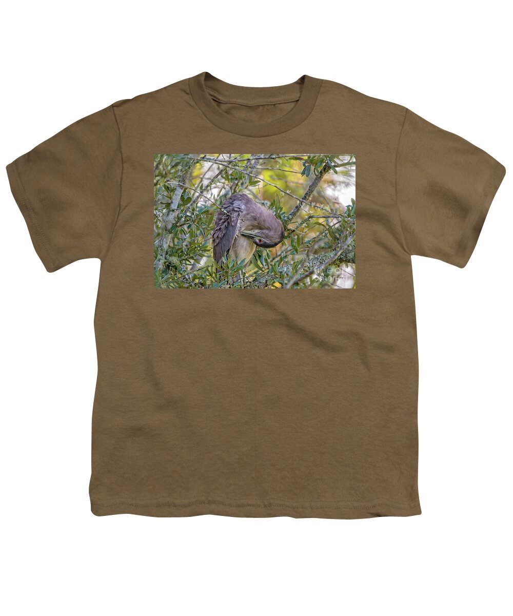 Herons Youth T-Shirt featuring the photograph Juvenile Black Crowned Night Heron Preening by DB Hayes