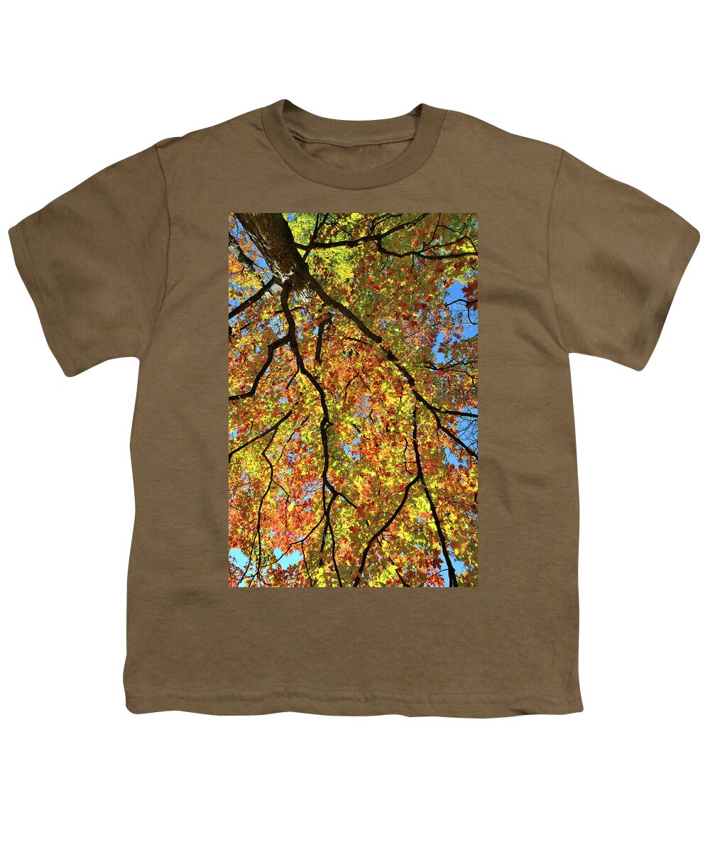 Cook County Youth T-Shirt featuring the photograph Kaleidoscope of Fall Color in Cook County by Ray Mathis