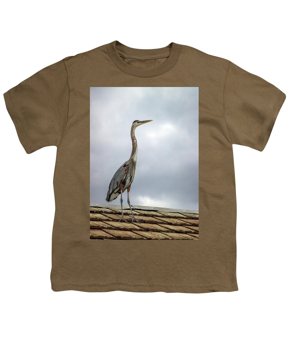 Animal Youth T-Shirt featuring the photograph Keeping Watch by Ed Clark