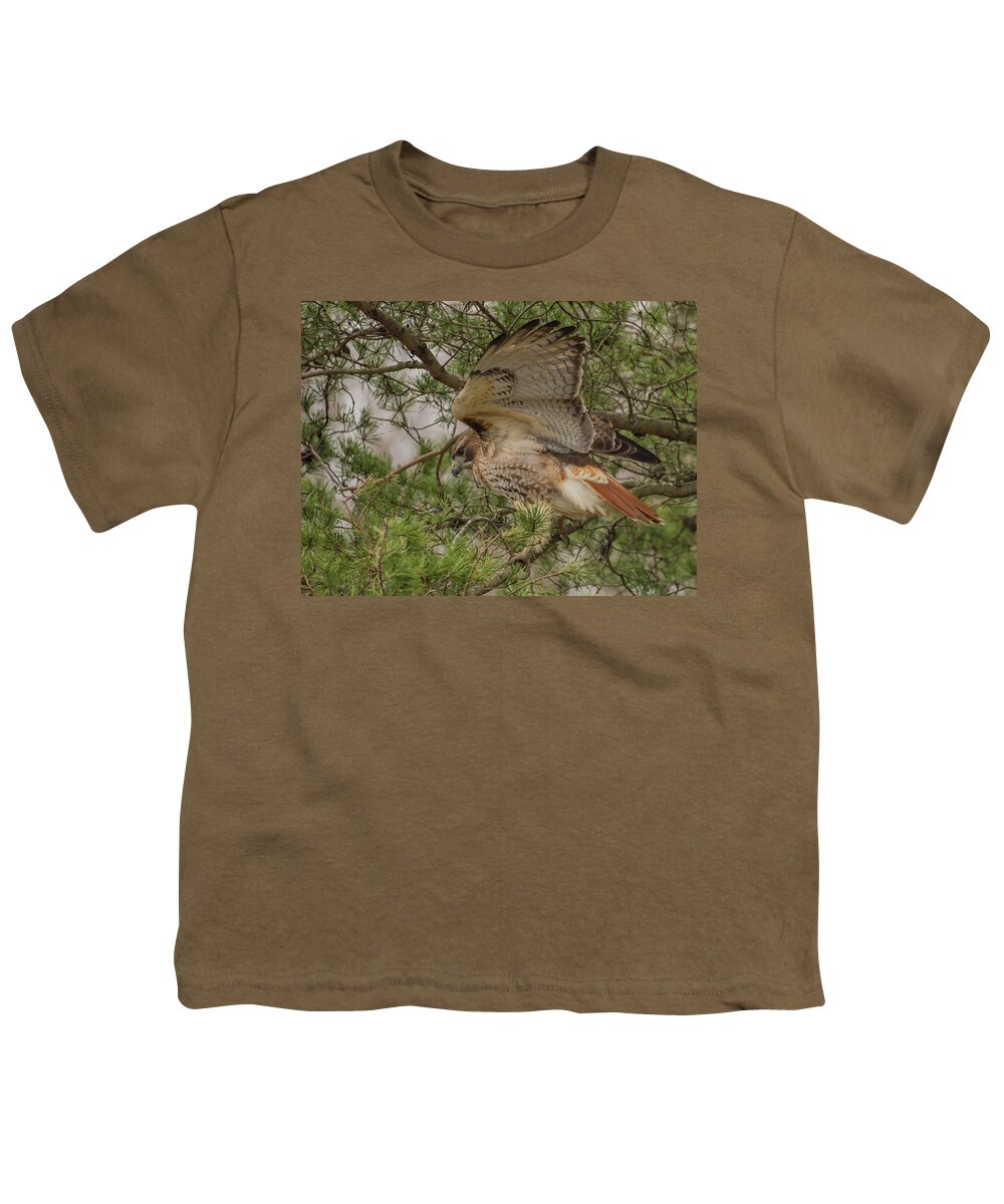 Bird Youth T-Shirt featuring the photograph King of the Pines by Jody Partin