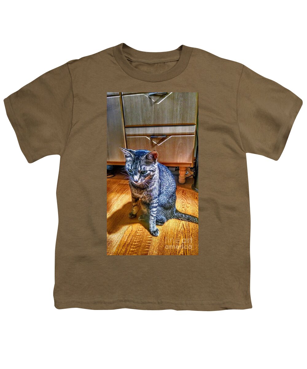 Grey Youth T-Shirt featuring the photograph Le Chat Gris by Christopher Lotito
