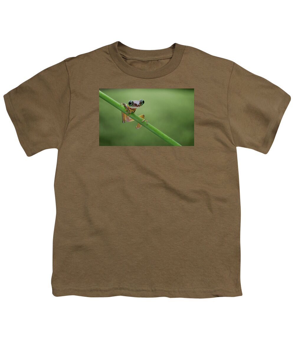 Frogs Youth T-Shirt featuring the photograph Lemur Tree Frog - 2 by Nikolyn McDonald