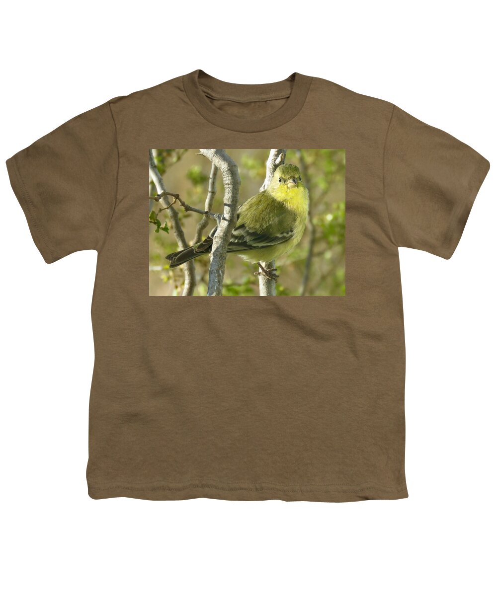 American Goldfinch Youth T-Shirt featuring the photograph Lesser Goldfinch 1 by Judy Kennedy