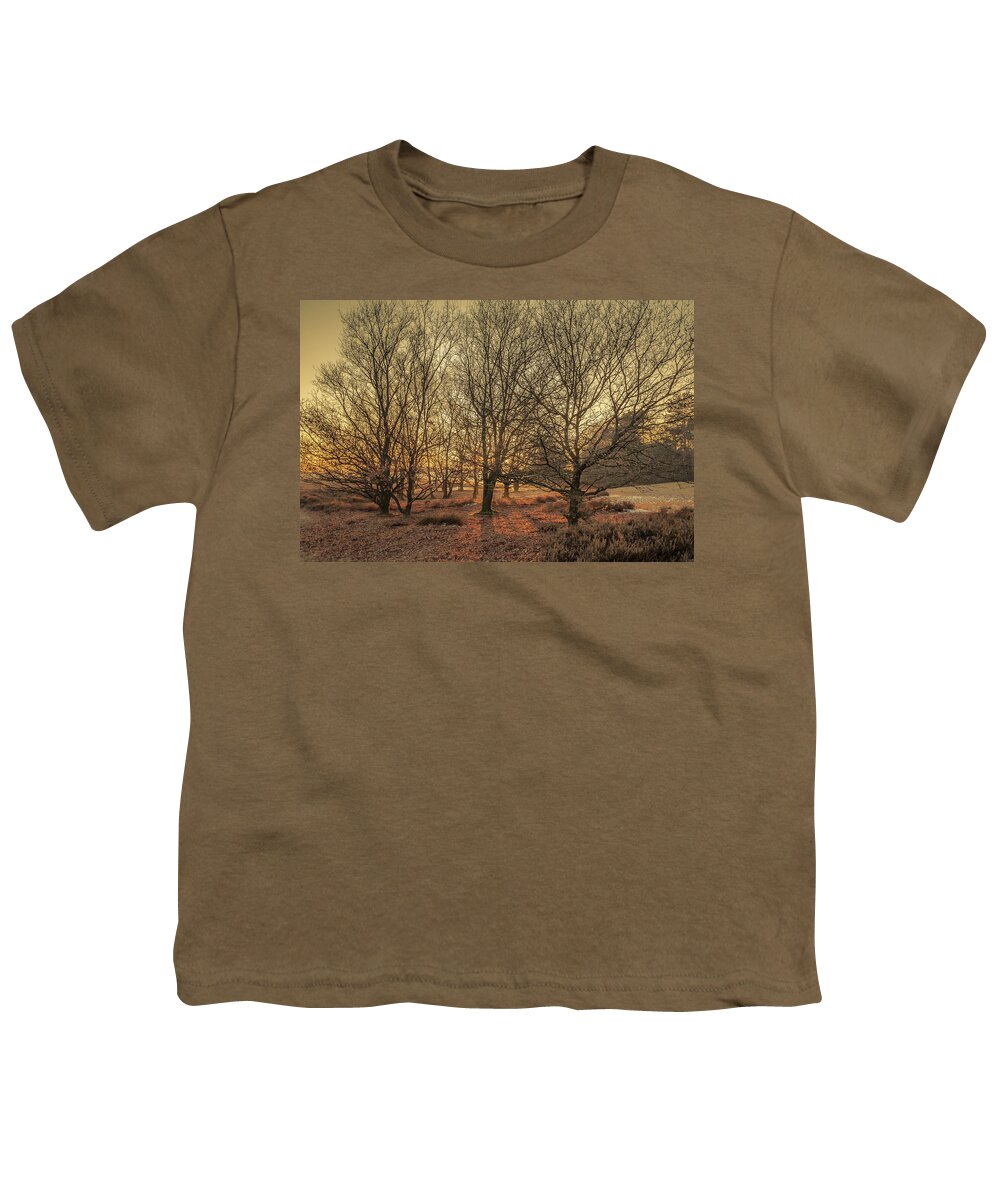 Arnhem Youth T-Shirt featuring the photograph Light through the trees by Tim Abeln