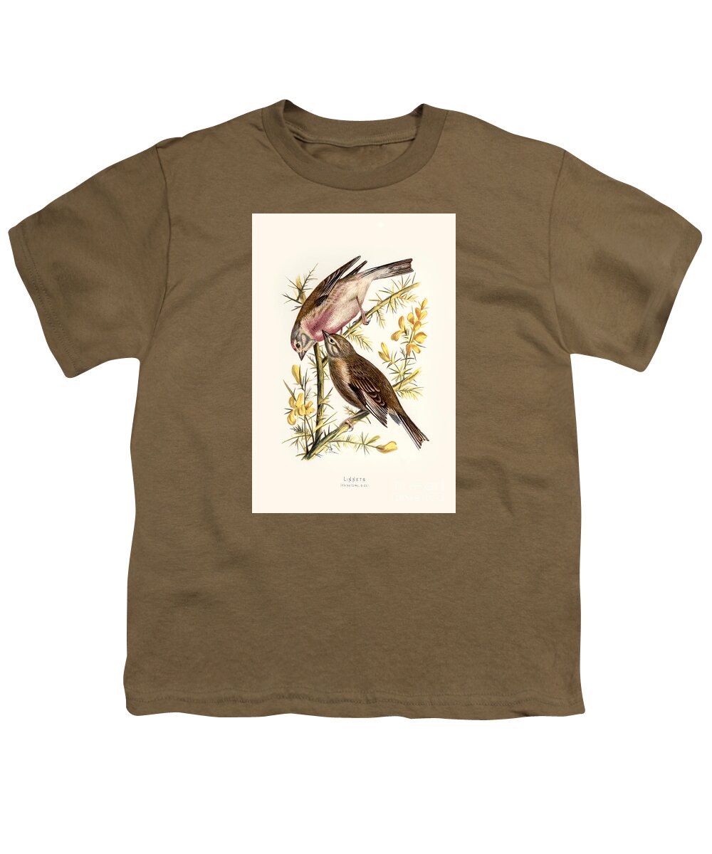 Birds Youth T-Shirt featuring the digital art Linnets Restored by Pablo Avanzini