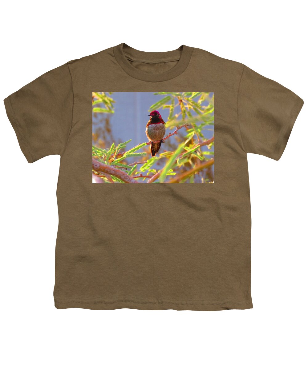  Arizona Youth T-Shirt featuring the photograph Little Jewel with Wings Third Version by Judy Kennedy