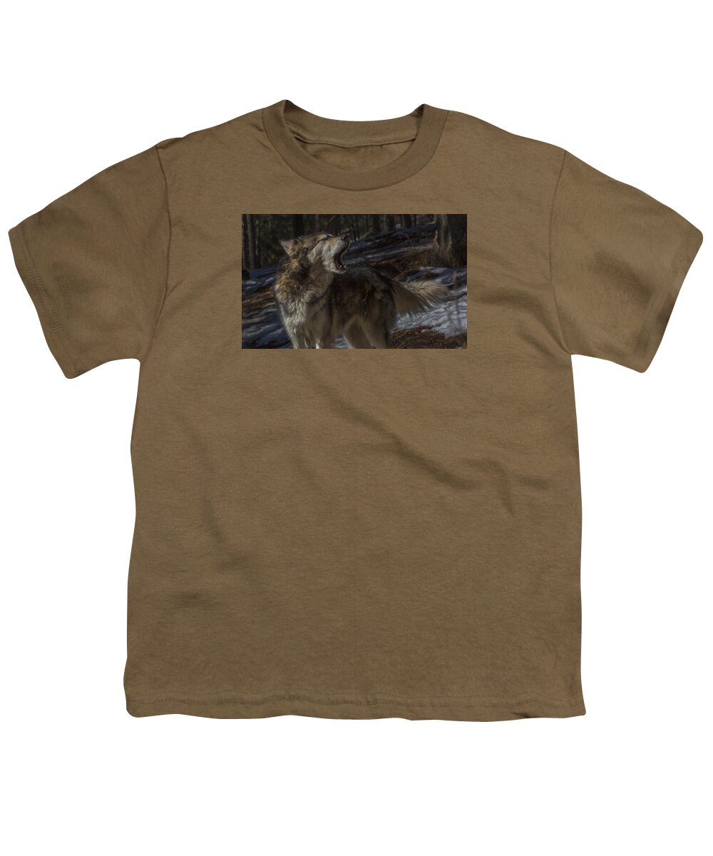 Wildlife Youth T-Shirt featuring the photograph Locating the pack by Jeff Shumaker
