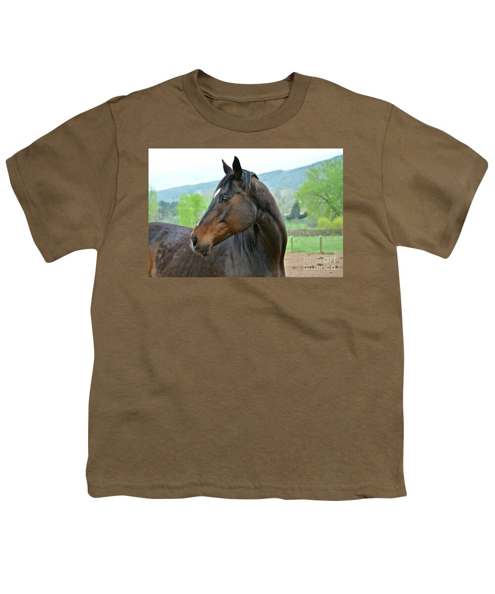Horse Youth T-Shirt featuring the photograph Looking Back by Cindy Schneider