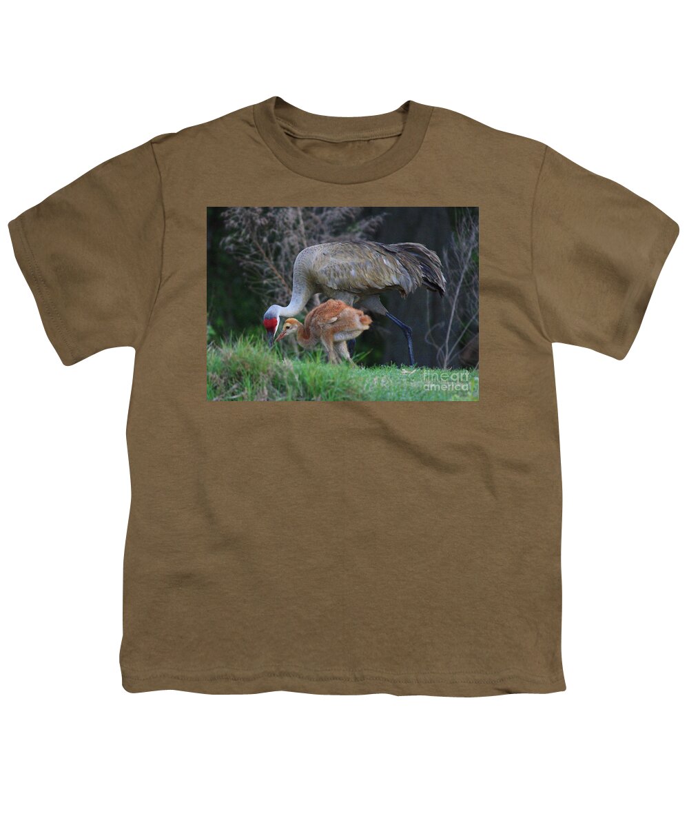 Sandhill Cranes Youth T-Shirt featuring the photograph Loving Sandhill with Colt by Carol Groenen